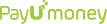 Online Payment