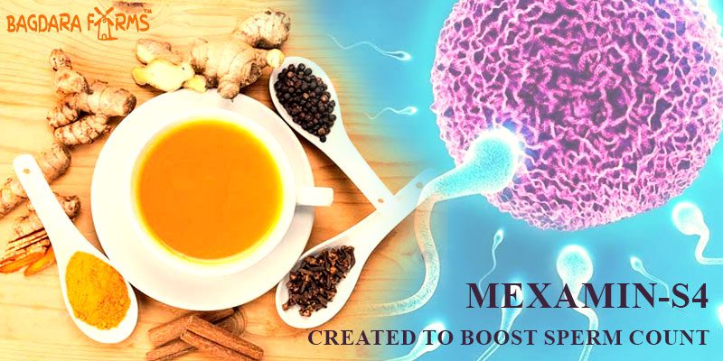 mexamin-s4 to boost the sperm count in men