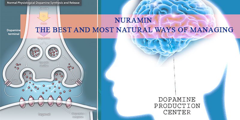 Nuramin to beat Parkinson's Disease