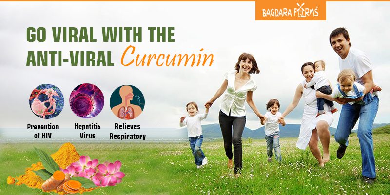 turmeric health benefits , Curcumin , viral fiver , Dengue, Hepatitis B