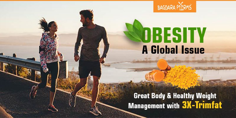 Obesity , healthy eating , Weight-management , Lose Belly Fat