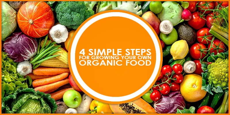 4 Simple Steps for Growing Your Own Organic Food
