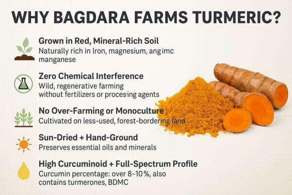 Fresh Turmeric - Image 2