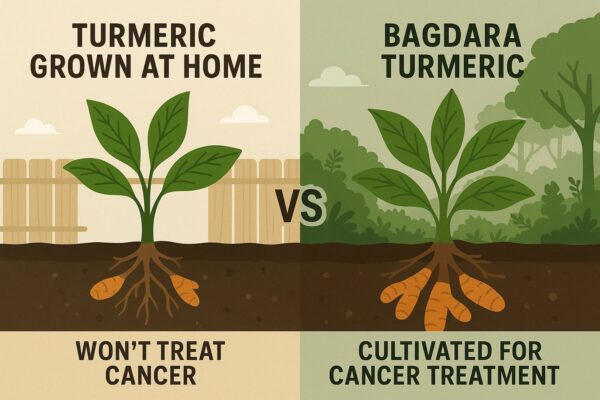 Fresh Turmeric - Image 6