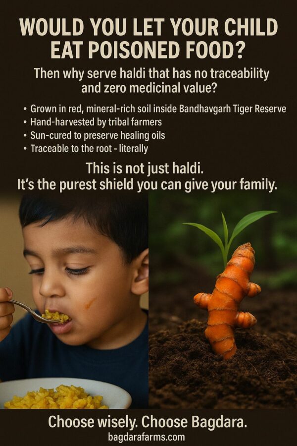 Fresh Turmeric - Image 7