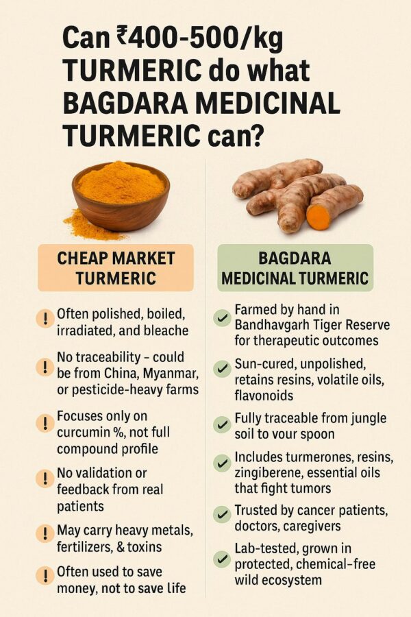 Fresh Turmeric - Image 8