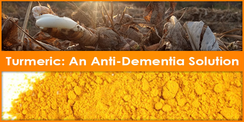 Fresh Turmeric a Natural Anti-Dementia Solution