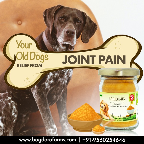 Barkumin - For Dog's joint pain