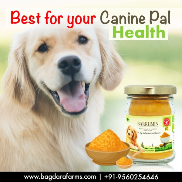 Barkumin - For your dogs health