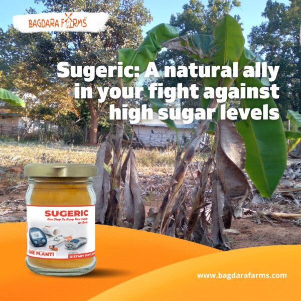 Sugeric - Image 6