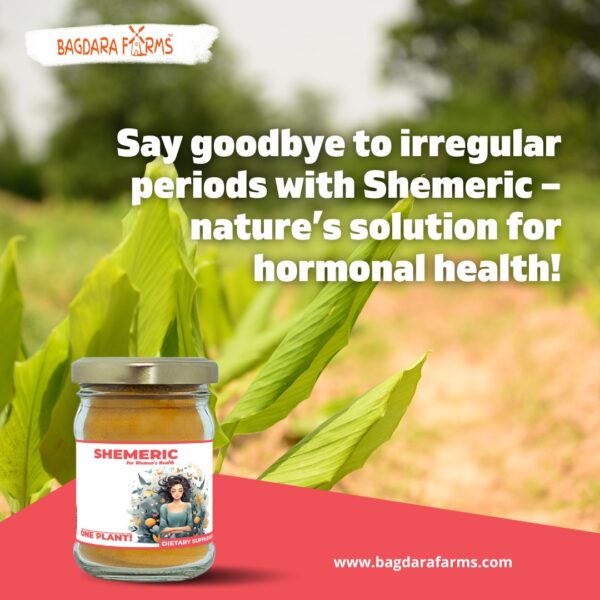 Shemeric - Image 13