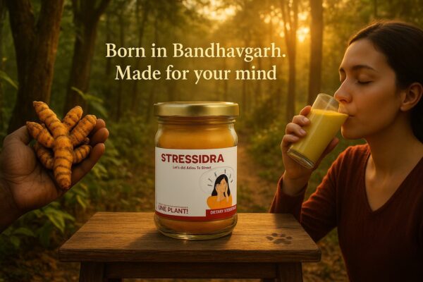 Stressidra - Image 7