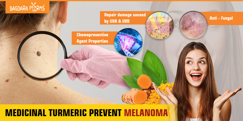 melanoma , melanoma treatment , turmeric cures melanoma