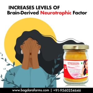 Stressidra - Increases levels of brain derived Neurotropic factor