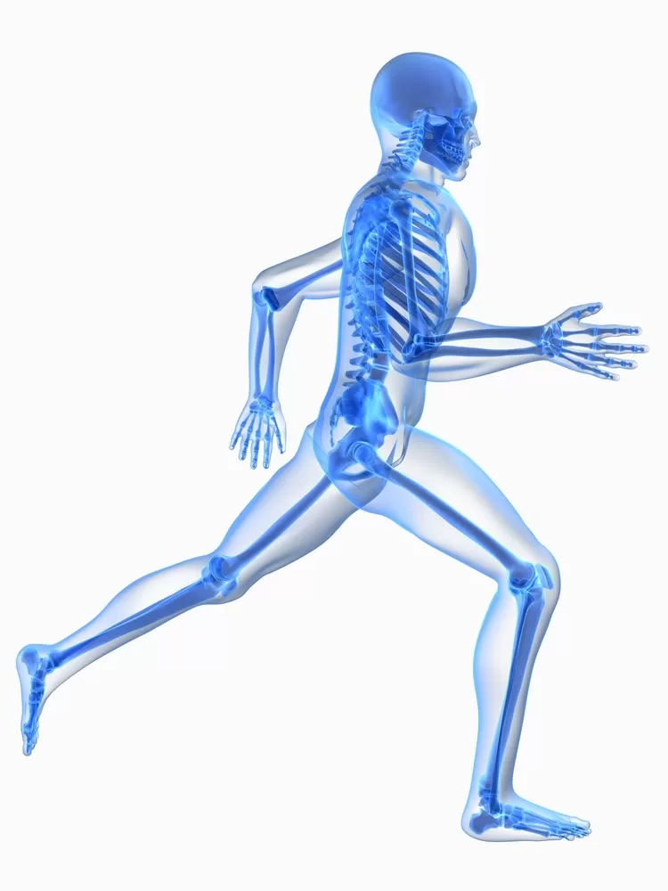 Healthy & Strong Bones with Hulthy