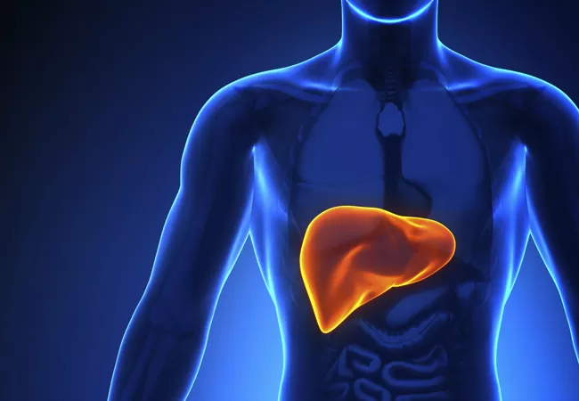 Livturm for healthy liver & healthy you