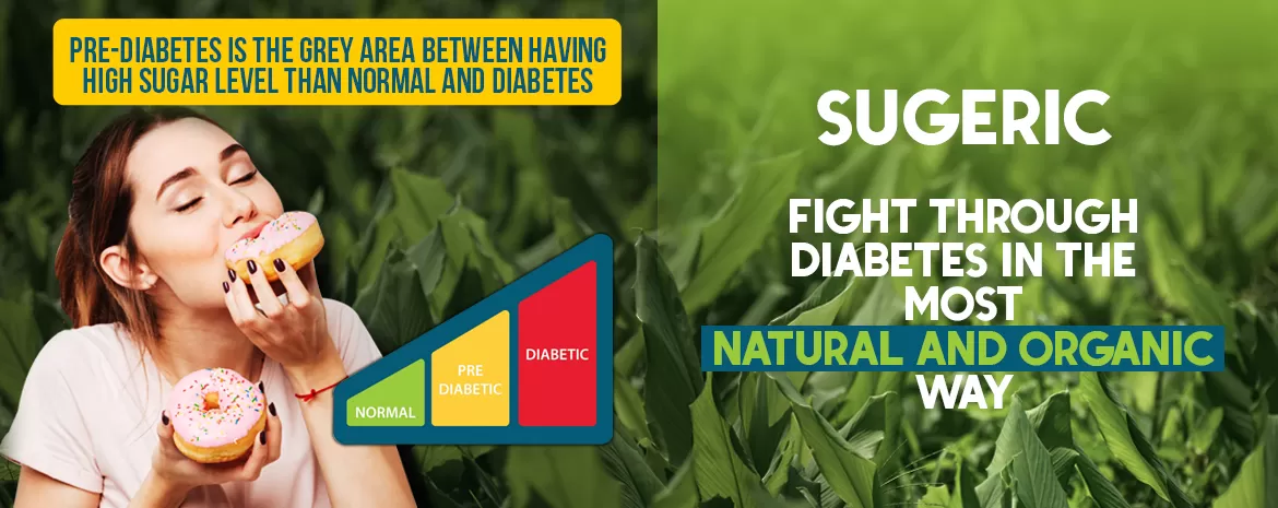 Keep An Organic Check On Pre-Diabetes With Sugeric