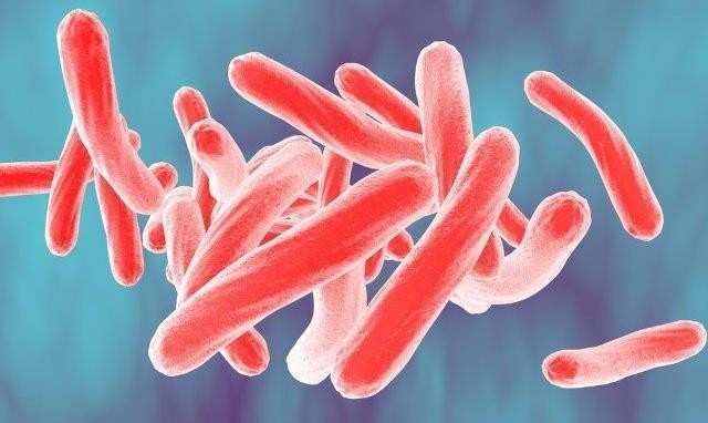 Immunoturm fights Acinetobacter Baumannii Bacteria