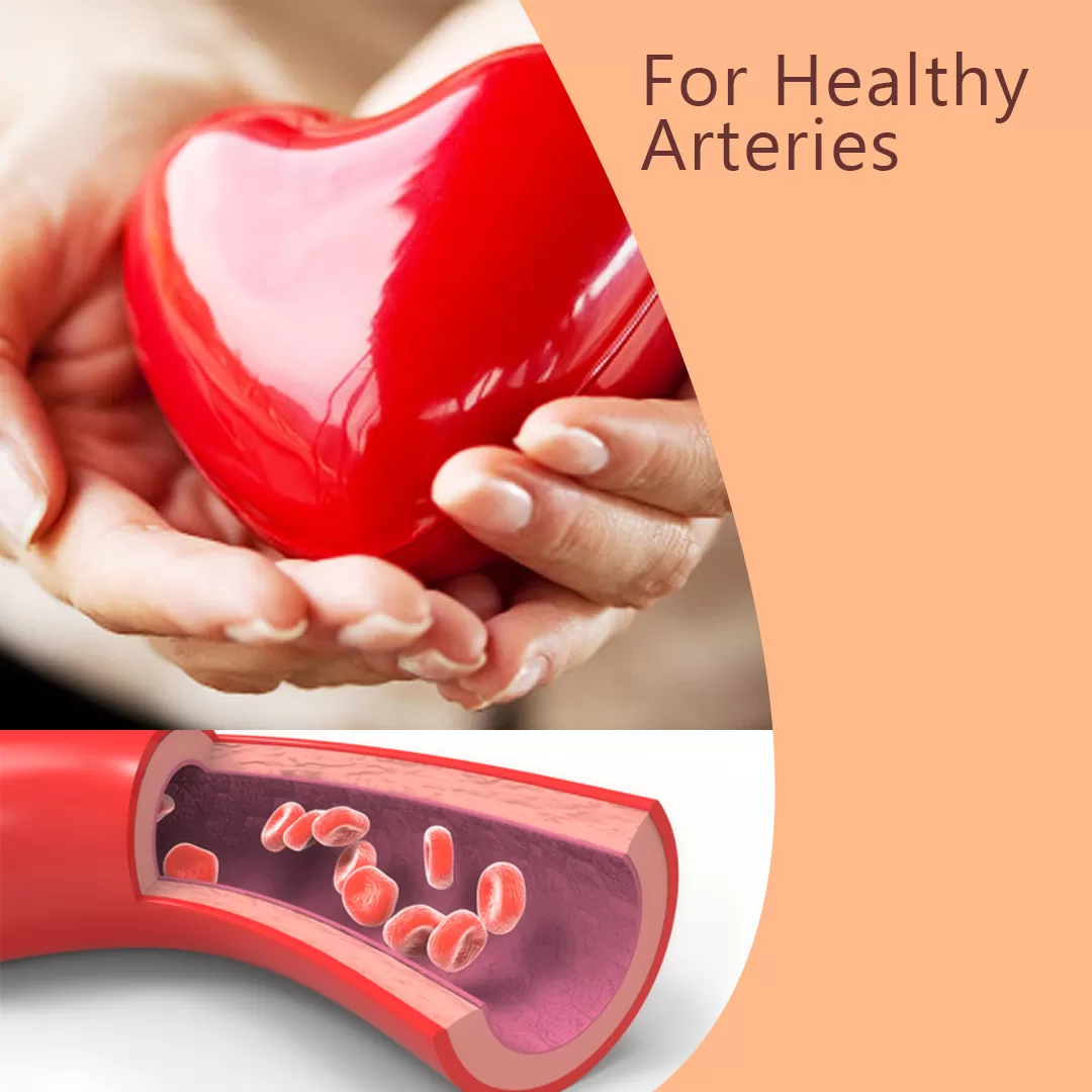 “Do what it takes to start to have a healthy artery and heart”- Start with Artemin