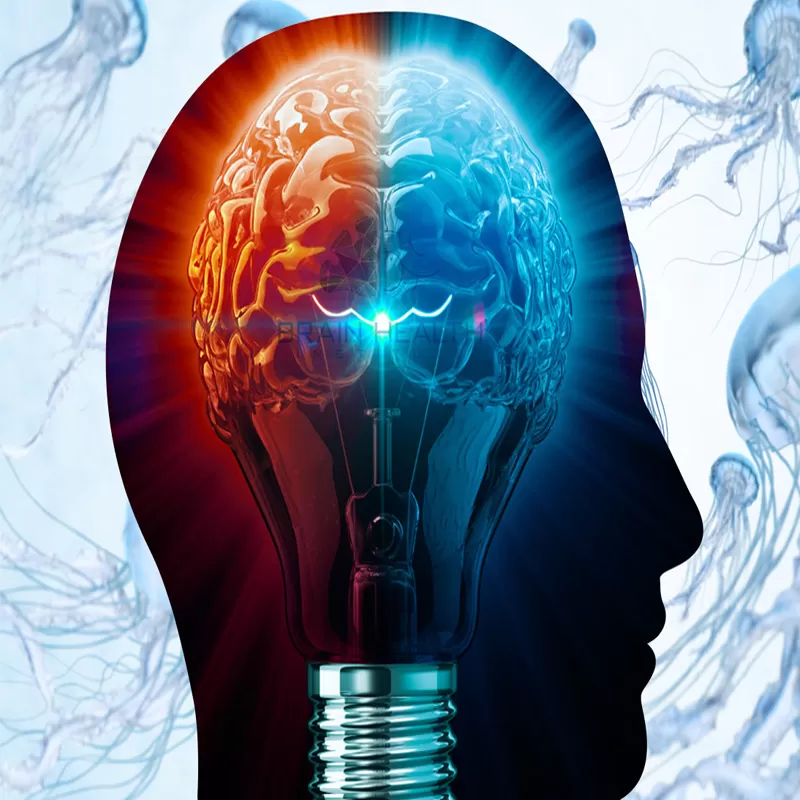 Best Treatment of Alzheimer’s (Senile Dementia)