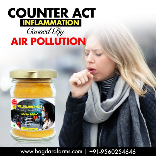 Pollutamin PM2.5 counter act inflammation