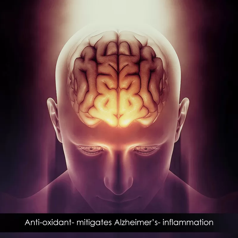 Treatment of Attention Deficit Disorder