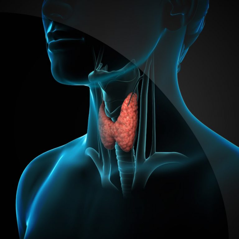 A Natural Healer for Thyroid Related Diseases -Thyromeric