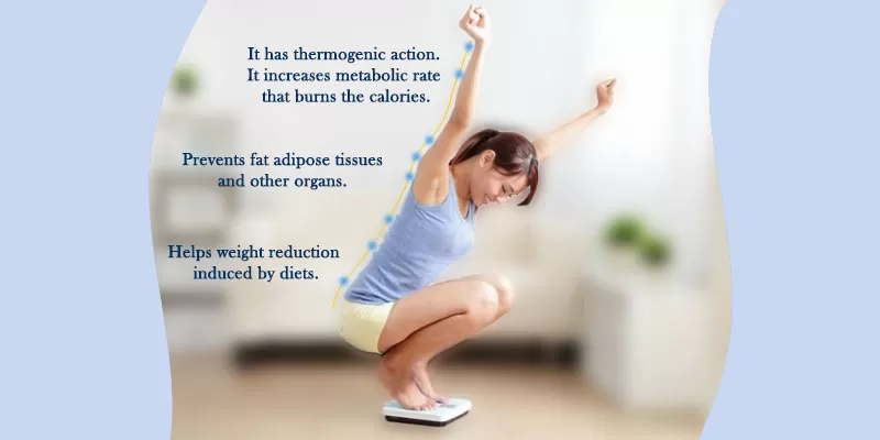 3X-Trimfat The Fat Killer ‘Try for Obesity Hypoventilation Syndrome’