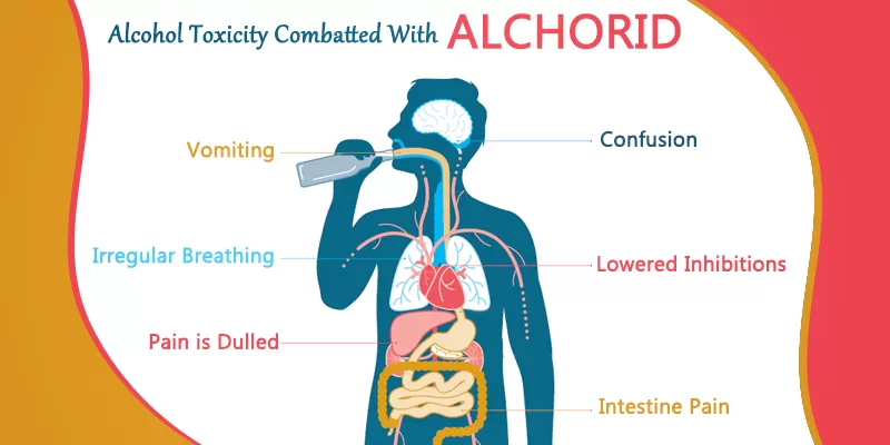 Did You Know Curcumin Could Treat Alcohol intoxication?