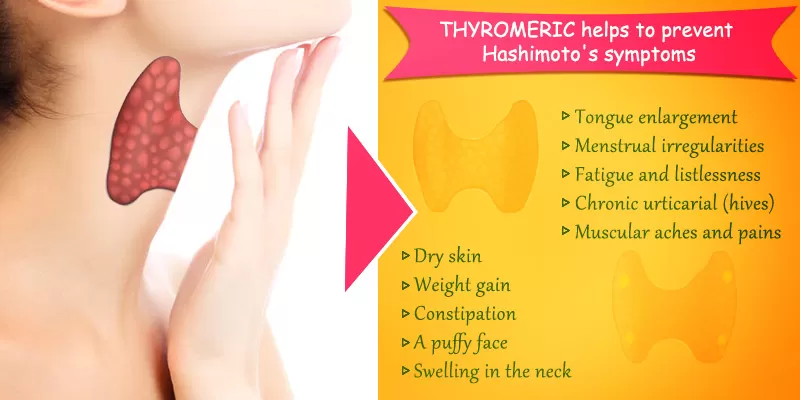 Decoding Hashimoto’s Disease With Thyromeric