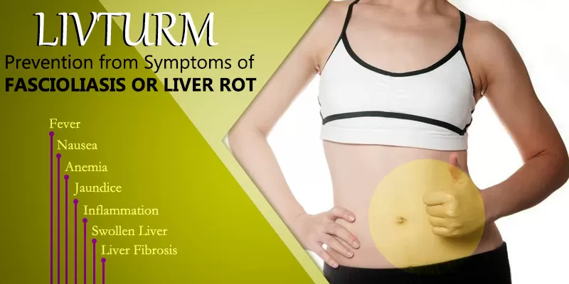 Livturm , for Liver rot , problem ,