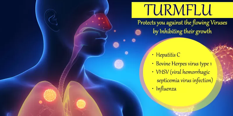 Beat the Virus and the Fungus with Turmflu