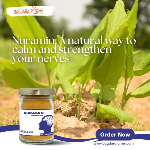 Nuramin - Image 5
