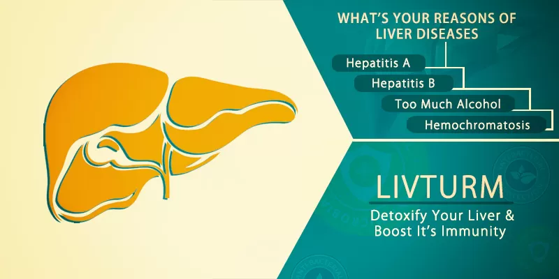 Ways in which liver benefits from curcumin supplement