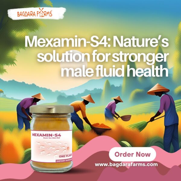 Mexamin-S4 - Image 2