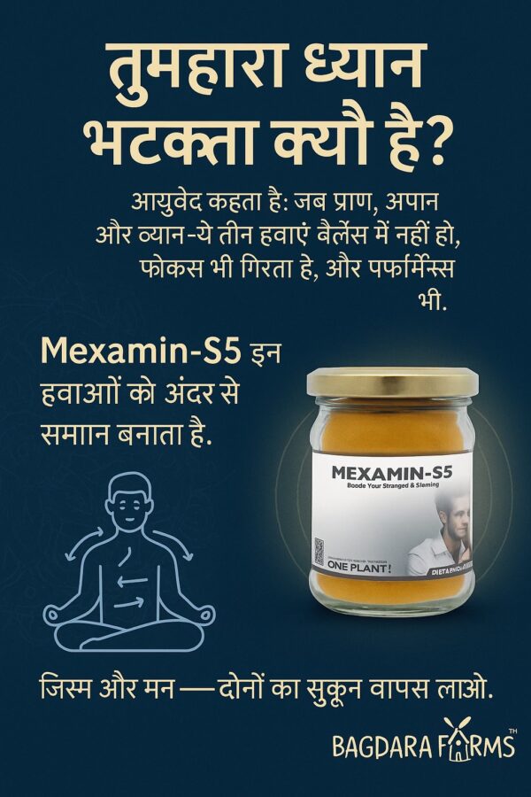 Mexamin-S5 - Image 4