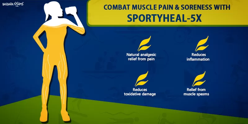 SPORTYHEAL-5X supplement for sports enthusiasts