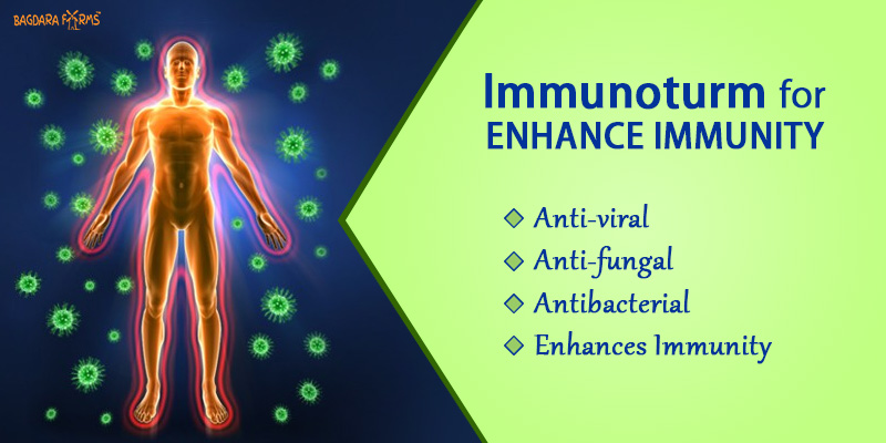 Enhance immunity with Immunoturm