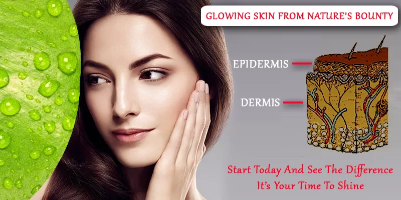 Curcumin – For A Healthy & Glowing Skin