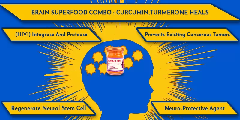 BRAIN SUPERFOOD COMBO: CURCUMIN, TURMERONE HEALS