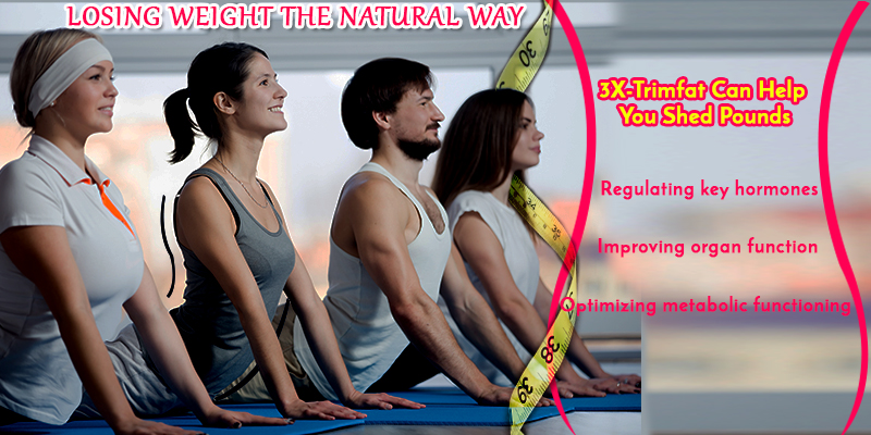 3X-Trimfat to loose weight the nastural way