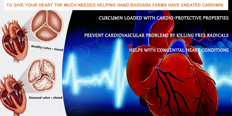 Organic Curcumin For Good Heart Health