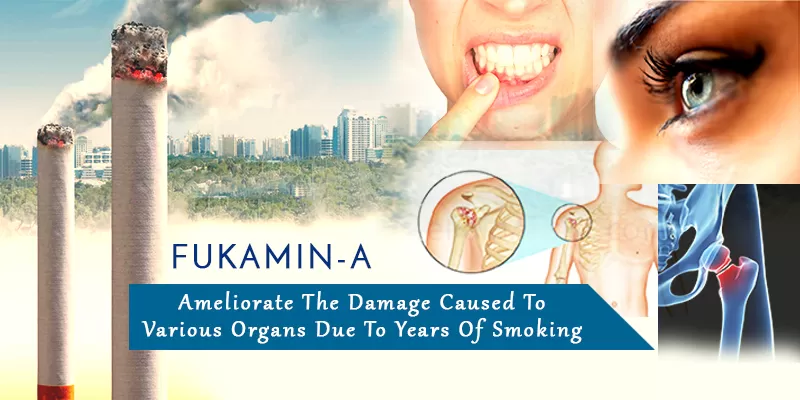 Ways in Which Smoking Affects You With The Best Stop Smoking Aid