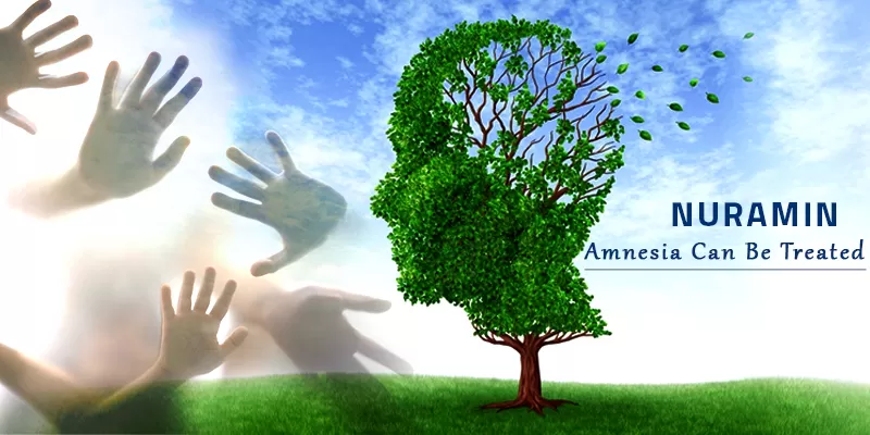 fight Alzheimer Disease naturally with Nuramin
