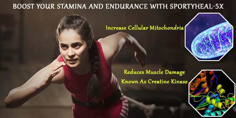 Boost Your Stamina And Endurance With Curcumin