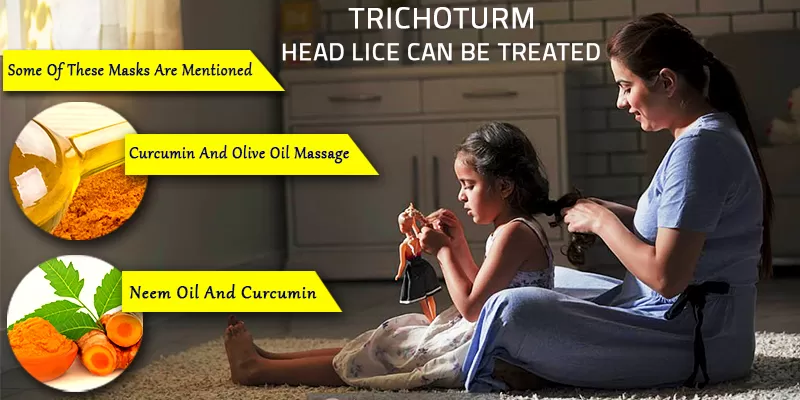 Prevent & Treat Head Lice With The Richess Of Curcumin