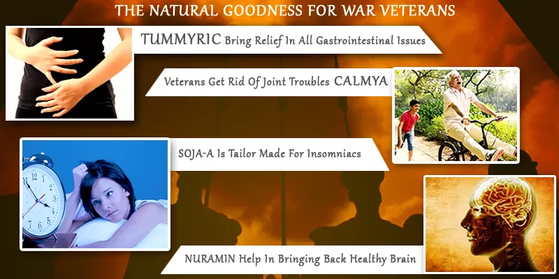 Gulf War Syndrome Can Be Combated Using Curcumin