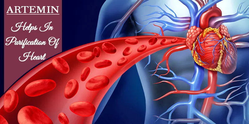 Maintain Healthy Heart Naturally with Artemin