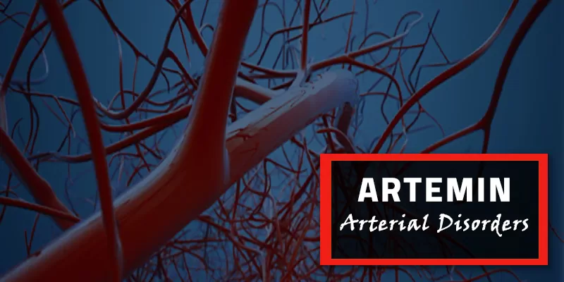 Are You Troubled By Clogged Arteries