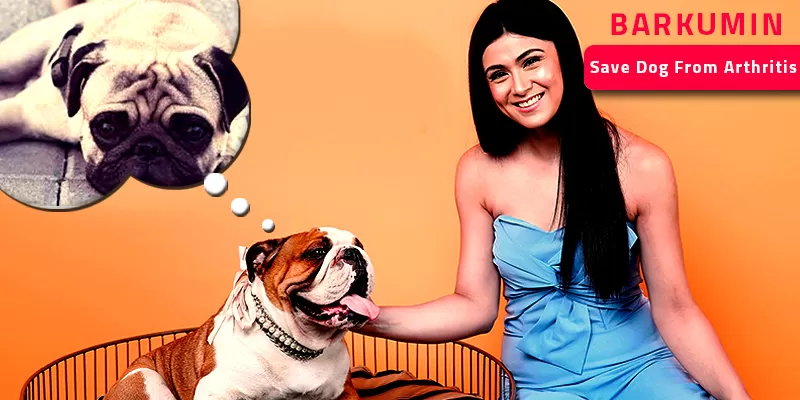 Barkumin saved my Canine’s Life
